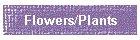 Flowers/Plants